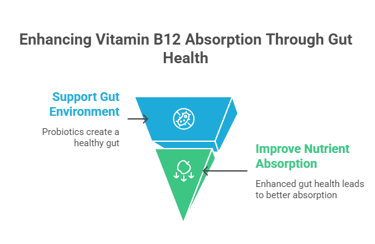 Support Your Gut Health