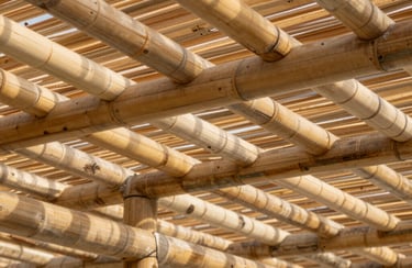 Engineered bamboo roofing rafters on a modern open-air pavilion, clean structural lines