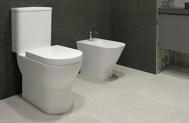 Sanitario y Bidet Nova en Zeramiq Los Palos Grandes.