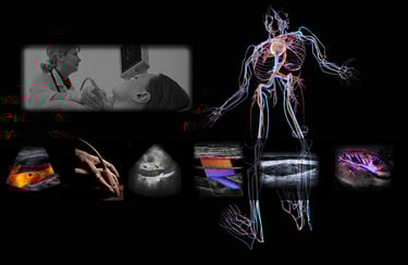 Image showing vascular anatomy and various images of ultrasound vascular imaging and Doppler.