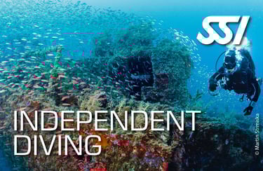 a scuba diver in a diving suit and scuba gear