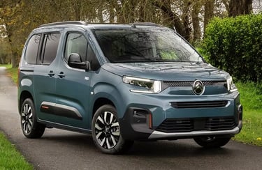 furgoneta citroen berlingo