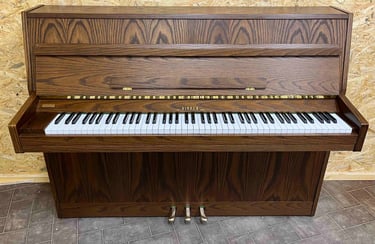Piano occasion Rippen