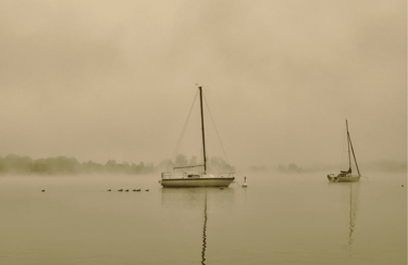 abogados expertos en Recursos de Amparo