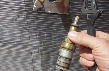 shower repair walthamstow