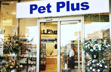 Neustra collaboracion