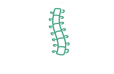 spine icon