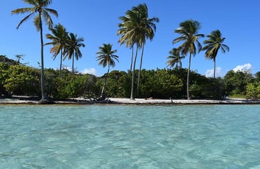 ainte anne voyage france guadeloupe