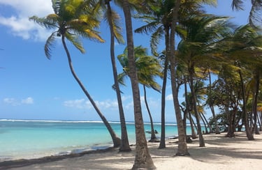 caravelle voyage france guadeloupe
