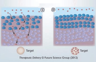 TED ultrasound frequency pushing down serum to fully penetrate the scalp to the hair follicles