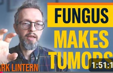 Felix Mueller - PKD Podcast with Mark Lintern