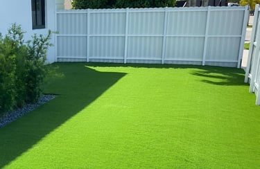 Mexican lawn grass in Visakhapatnam