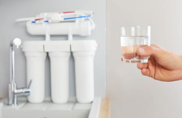 https://purificandosalud.com/tipos