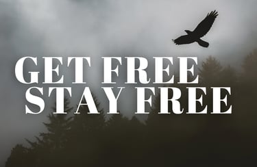 silhouette of eagle flying misty clouds on mountain pine trees