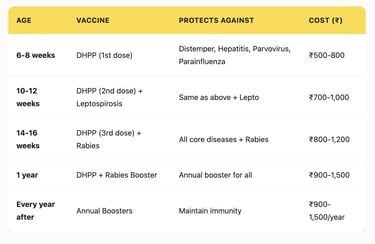 Vaccination Schedule and Cost in India