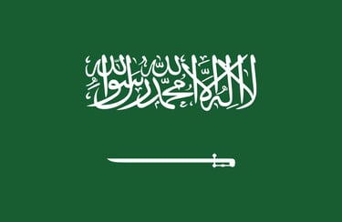 saudi arabia customer success