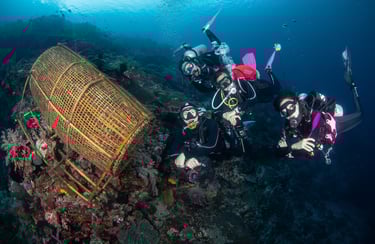 divers next to a fish trap in alor 
