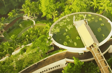 Four seasons resort Bali at Sayan