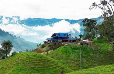finca  con hospedaje y restaurante entre las montañas de los Andes, ubicado en Cajamarca  Colombia