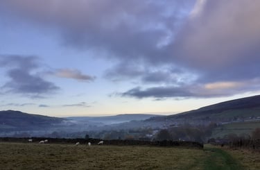 Morning walk