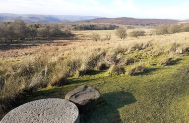Looking out over Longshaw estate to Higger Tor, wwinter sunshine and bare trees. Millstone in foreground