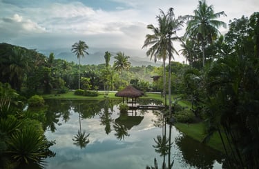 Environmental Impact Assessment - EIA