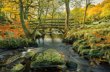 Padley Gorge