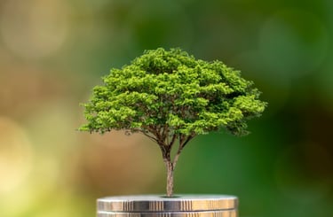 uma árvore crescendo em cima de uma pilha de moedas