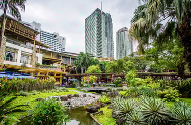 Environmental Impact Assessment - EIA