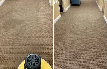 Best Office Carpet Cleaning Service Delhi NCR
