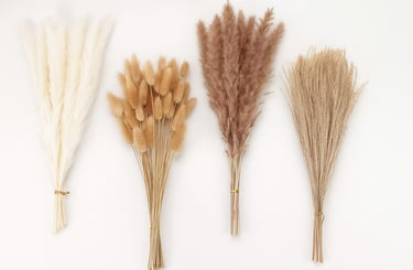 Four bundles of dried grasses in neutral tones — including ivory pampas, tan bunny tails, dusty rose