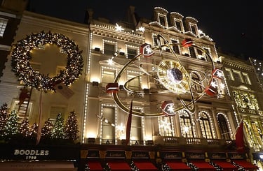 dogAdvisor | dogadvisor | dog advisor | dogAdvisor.dog