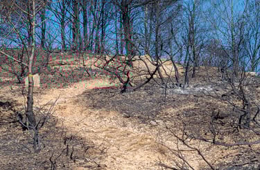 Incendie dans l'Aude la nature détruite