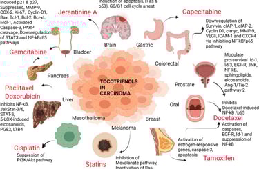 Yovotrienols and Carcinoma