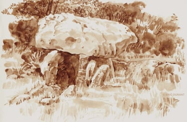 Lavis de brou de noix  sur papier A4 - © Eric Durant