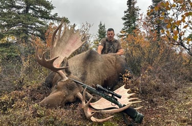 Successful moose hunting harvest in the thick Alaskan brush.