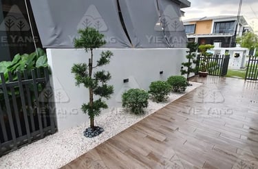 Side garden with podocarpus trees, white pebbles and timber deck – Yie Yang Landscape