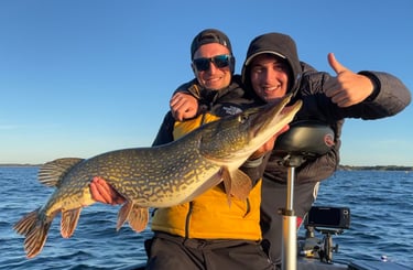 gros brochet des lacs landais