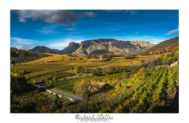 Montagne du Caroux