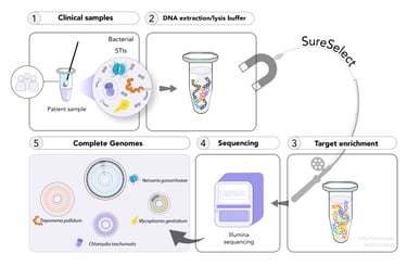 Graphical Abstract of target enrichment of STIs