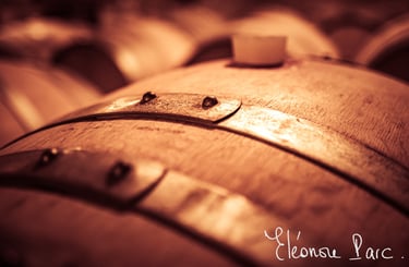 Secret des Dieux série Que le Vin Fût ref QV-03 ©Eléonore Parc