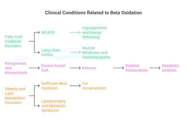 beta oxidation clinical co relations