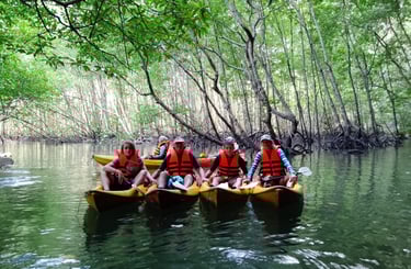 krabi ao thalane mangrove forest kayaking
