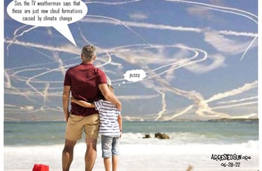 Arrested Sun - Geoengineering Awareness Memes - Dad and Son meme