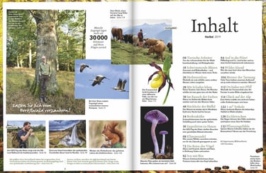 Wohllebens Welt 3/2019 contents