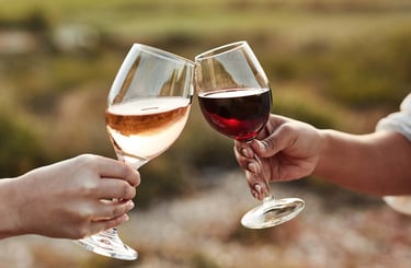 Enoturismo en San Rafael Mendoza