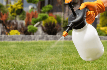 Professional lawn spraying service in Cary applying chemical treatments to healthy turf grass