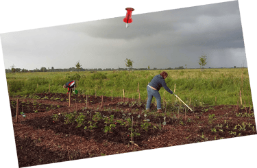 Tuinvrijwilliger harkt de moestuin van © Hortus Populus