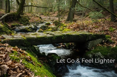 A forest scene with a bridge over a stream