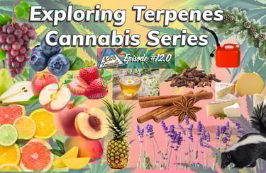 Why are some strains fruity and others skunky?  How do they work?  Which terpene profile is right fo